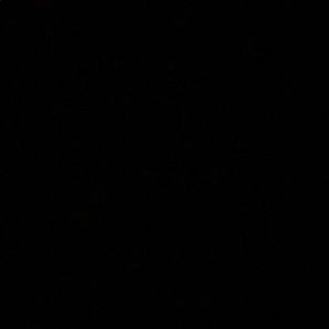 Meet your Posher, Brooklyn